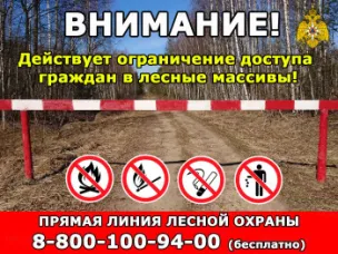 В Нижегородской области на территории 40 муниципальных округов установлен IV класс пожарной опасности лесов и торфяников.